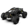 Rlaarlo Omni RZ001B-C Carbon Fiber MINI 1:10 Scale RTR Brushless Monster Truck,